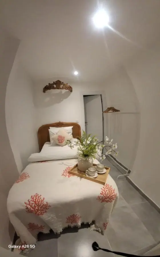 The White Swan Suites Beyoglu