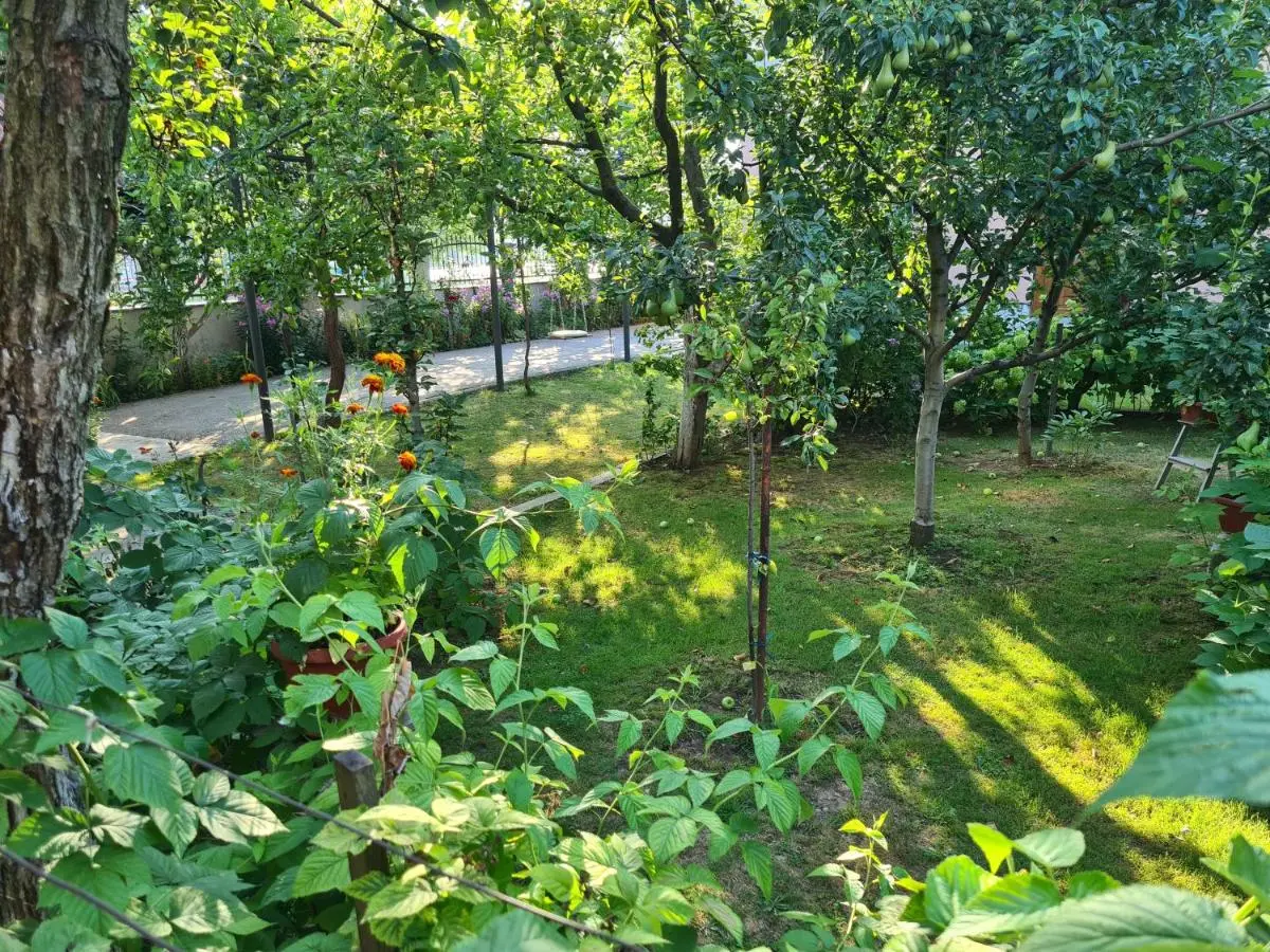 Apartman Nedim - Free Parking & Garden near Airport