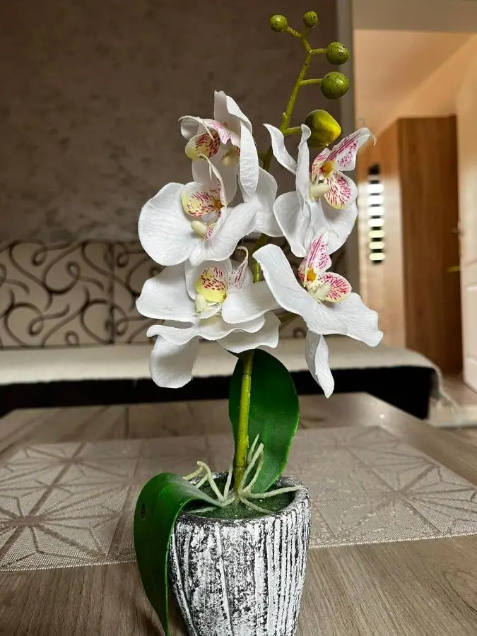 Apartmani Nikolic