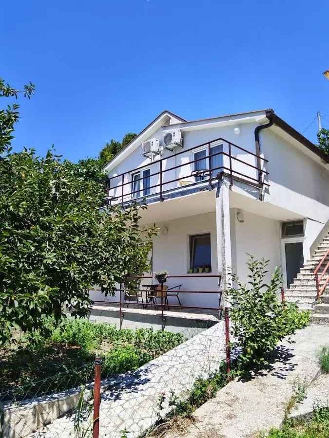 Apartments Pasha