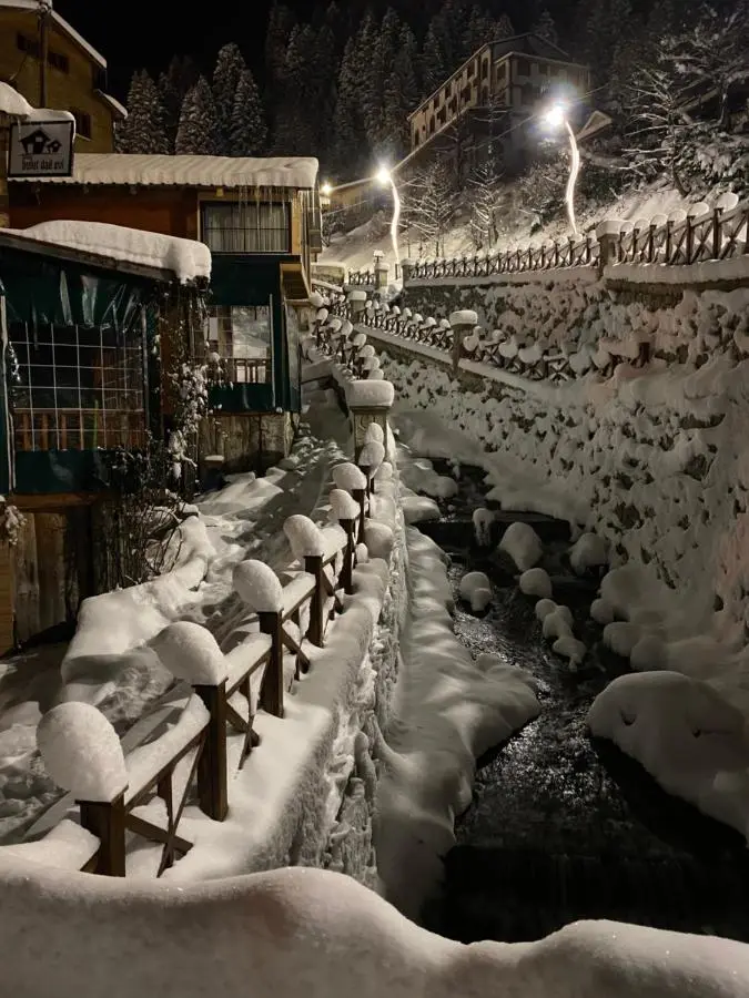 Ayder Bulut Dağevi Bungalow