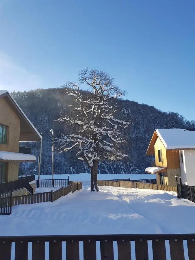 Cottage Crystal Bakuriani