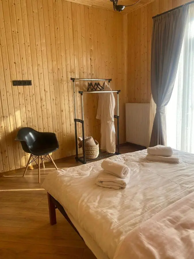 Dream House borjomi sadgeri