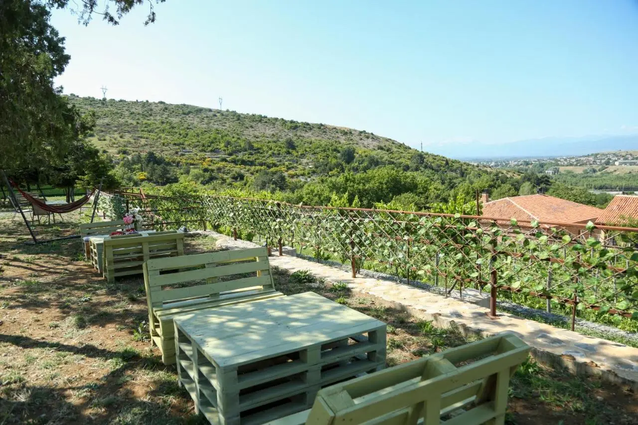 Peradze Wine Cellar Vineyard Cottages