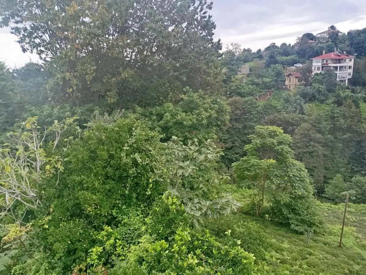 Huzur Konaklama