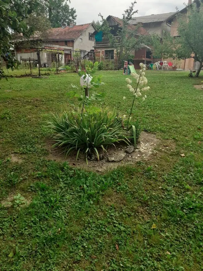 Apartman Dalal - with access to river Una