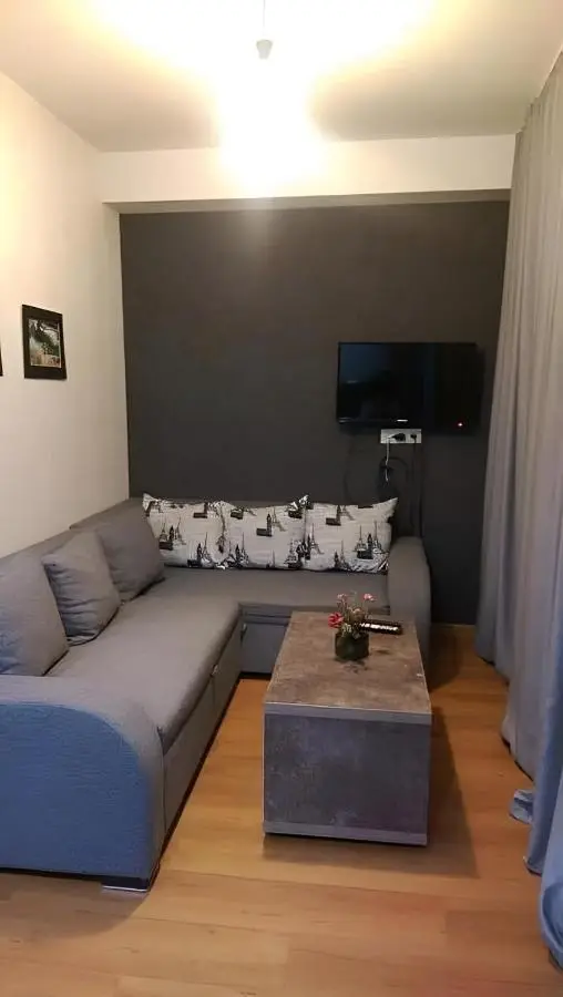 Area Park Bakuriani, Apartment 5