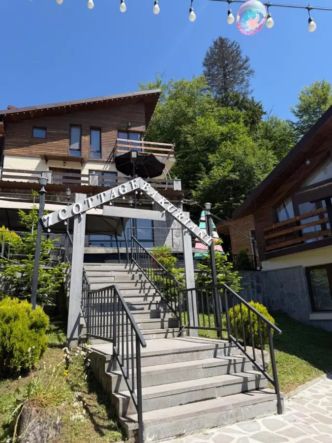 7 Cottage in Bakuriani