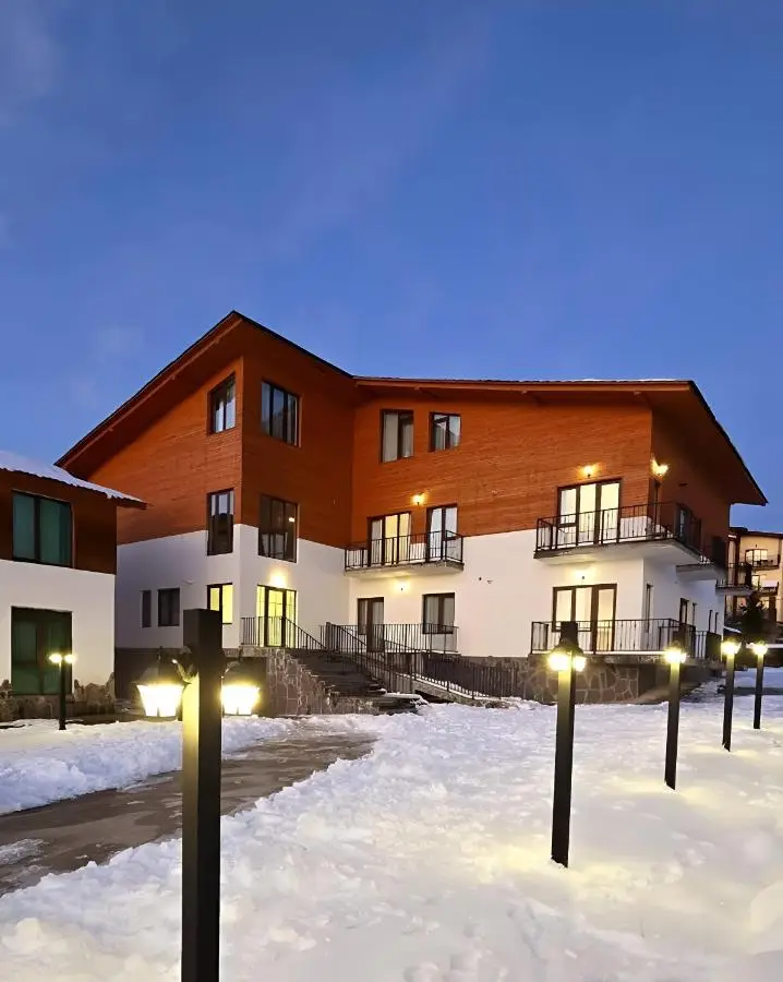 Bakuriani apartment 205 Tsakadze st 20