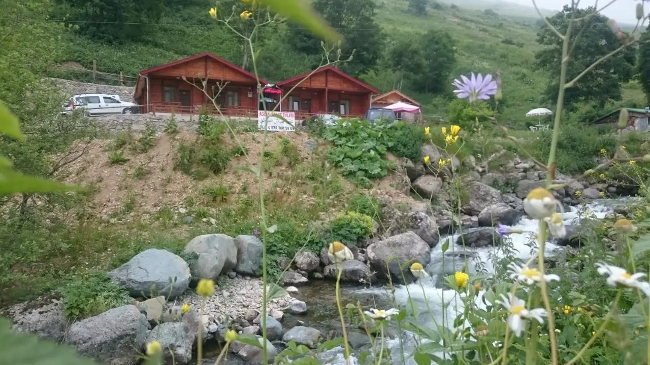 Aslan Dağ Evleri
