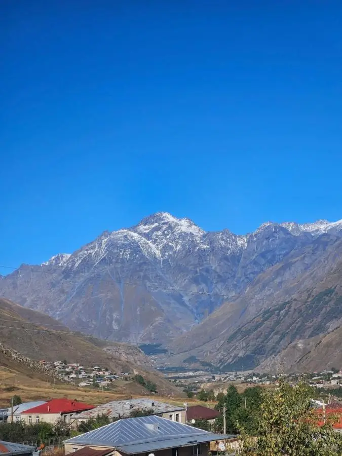 Shelva Cottage kazbegi