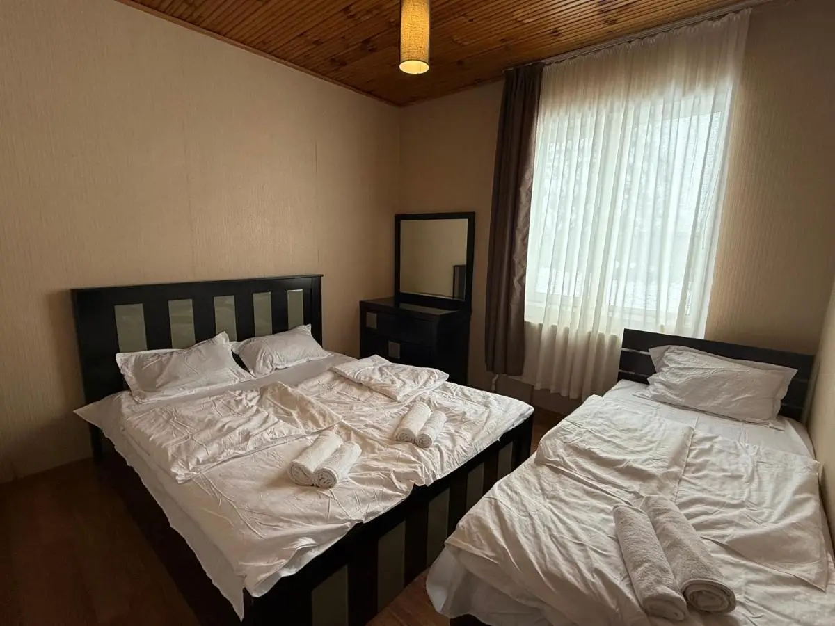 Home in Bakuriani