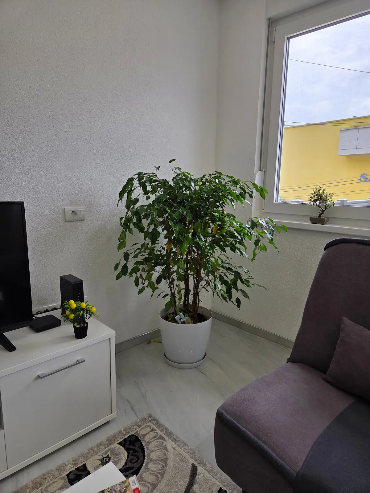 Sarajevo Pulse Residence - The Patio Escape
