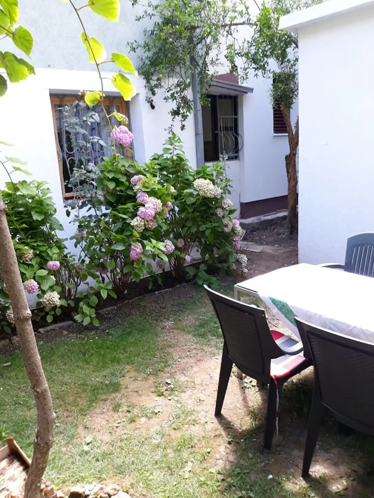 Naar 1 - cozy APT+ FREE PARKING
