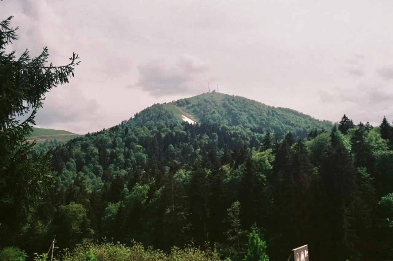 Forest View Apartment near Ski Lift