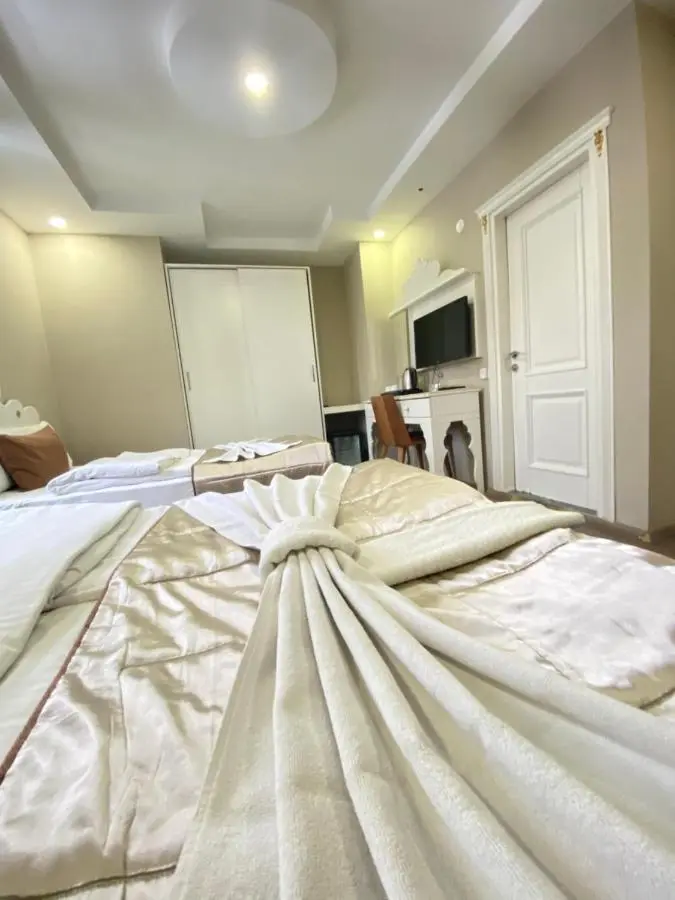Hotel Kent Ani