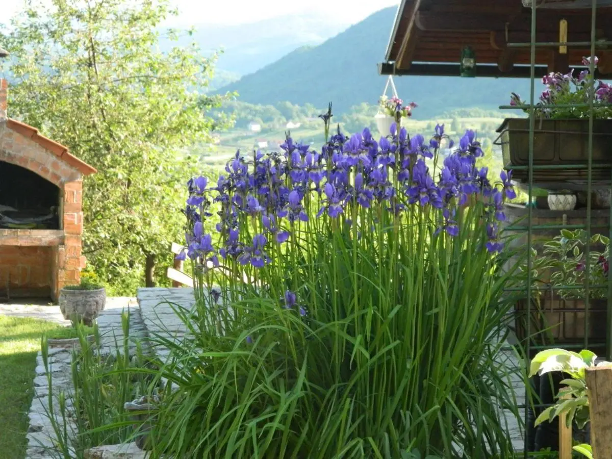 Holiday Home Nektar Park