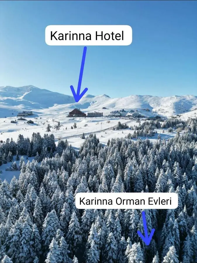 Karinna Orman Evleri