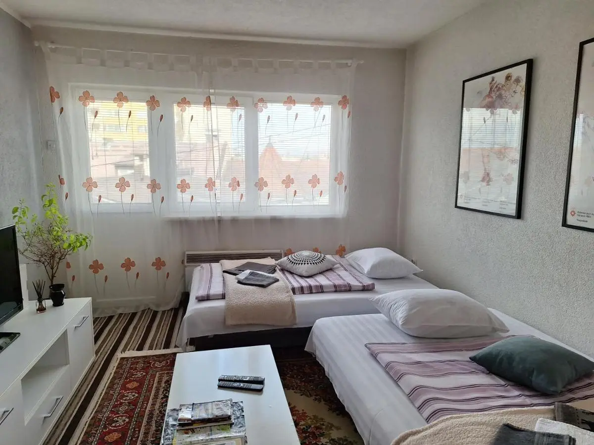 Apartment MG