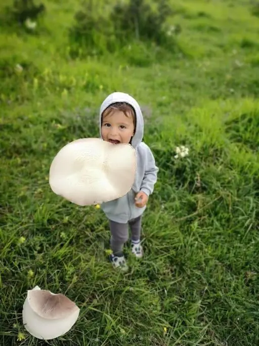 Karaçam & Yedigöller doğa evleri