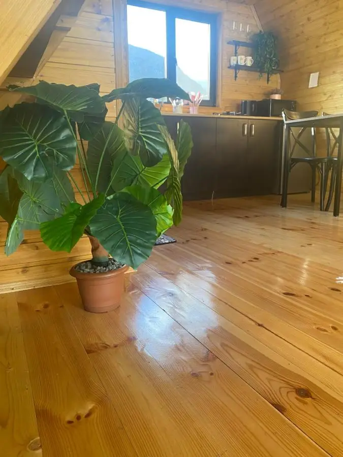 Sunny side cottage