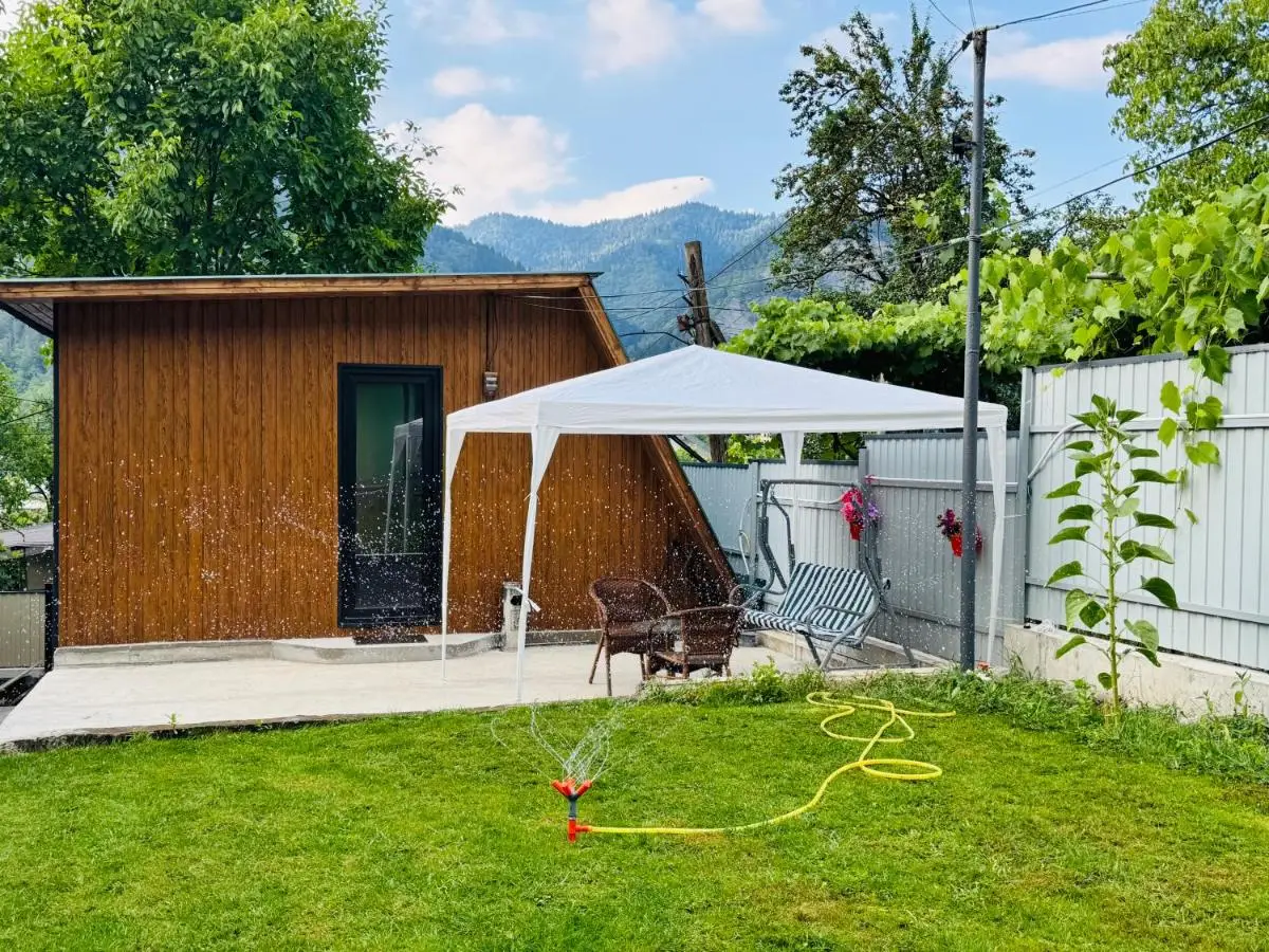 Buddy Cottage Borjomi
