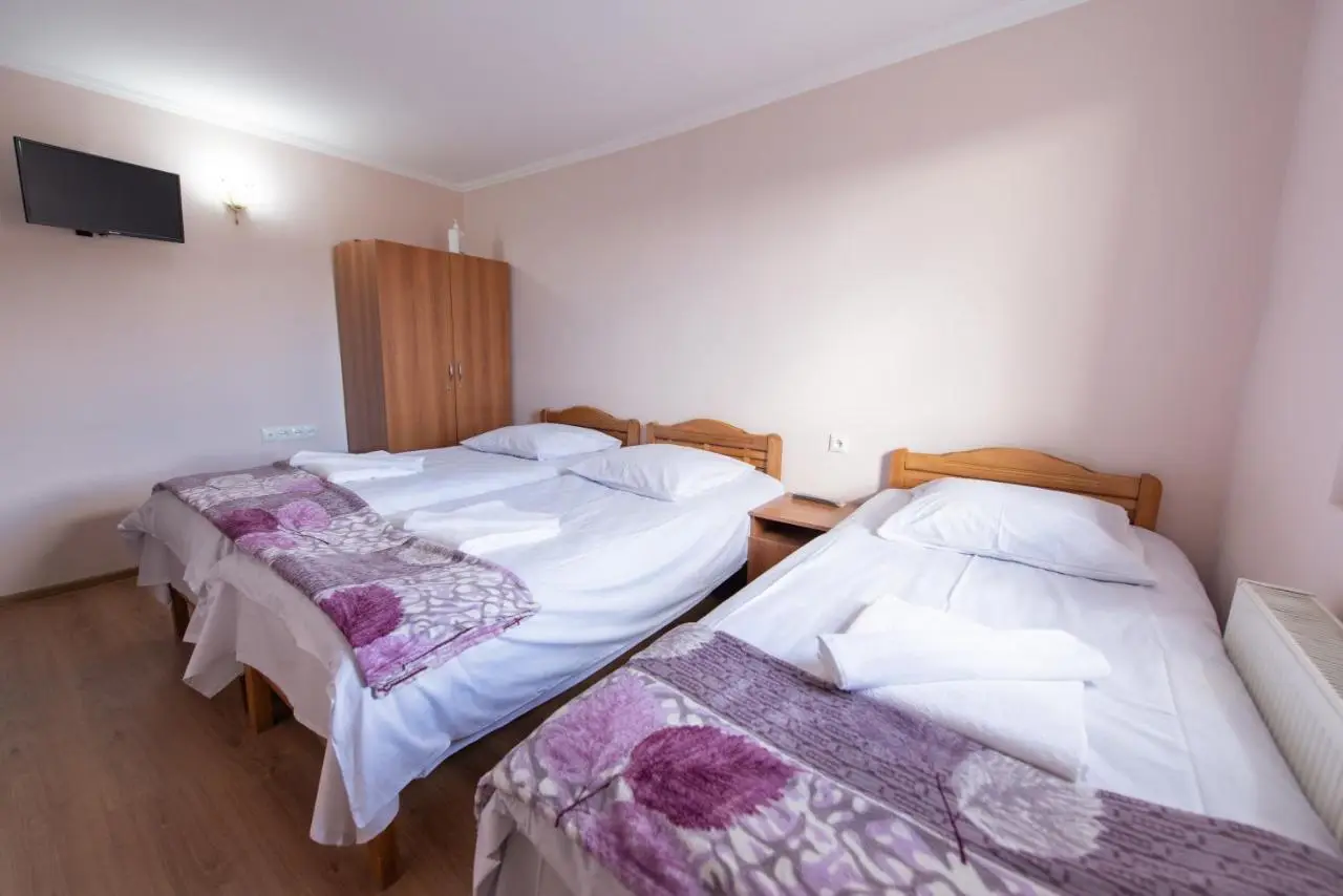 Hotel Zemo Aragvi