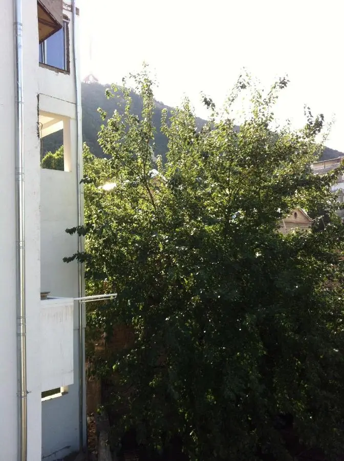 11 Shio Chitadze St