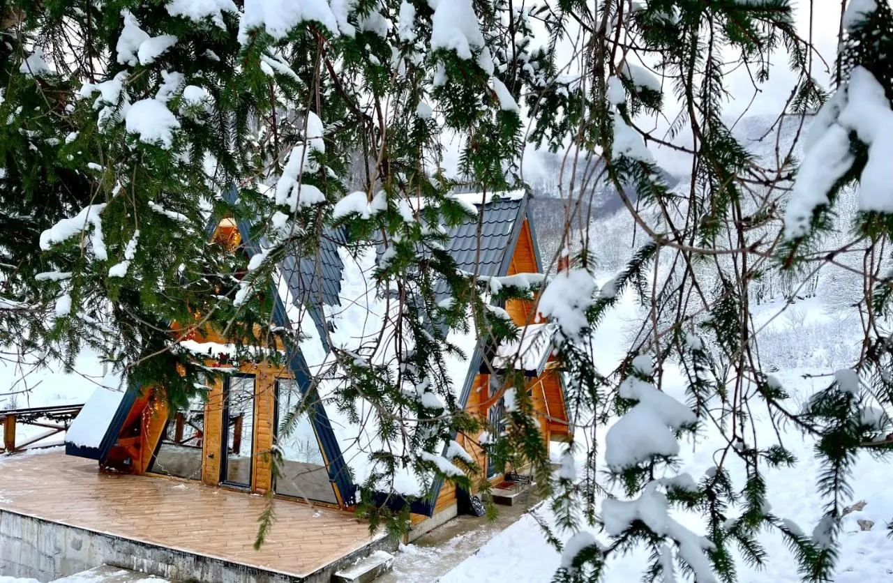 Villa Paradise Bjelašnica Luxury Chalet with Mountain View