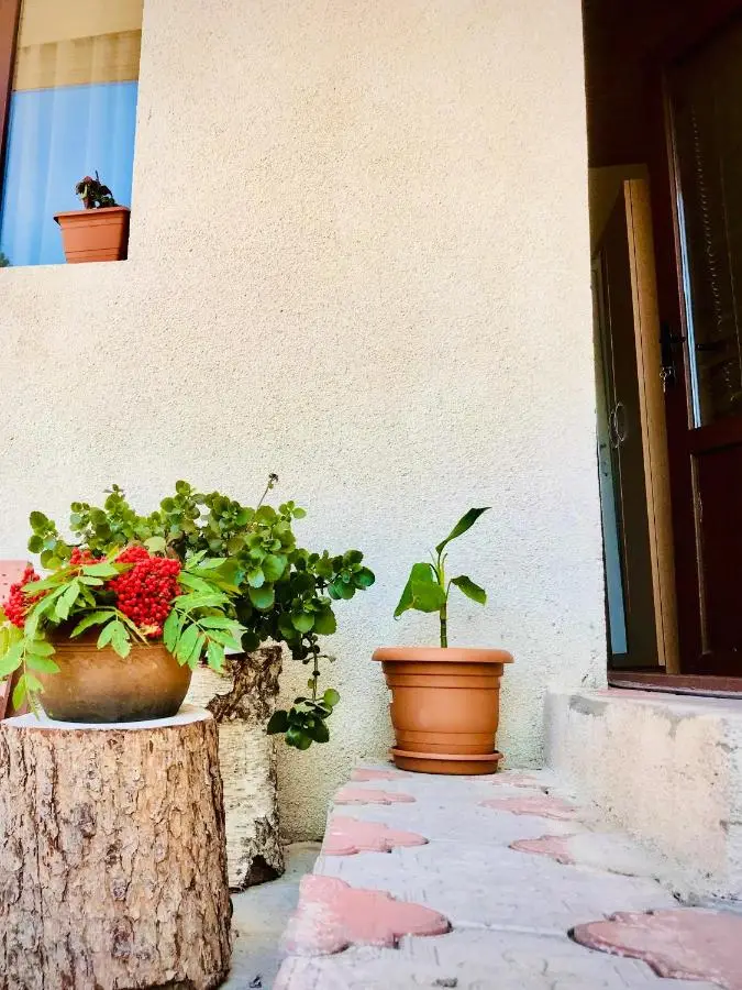 Guesthouse and Cottage Nicolo