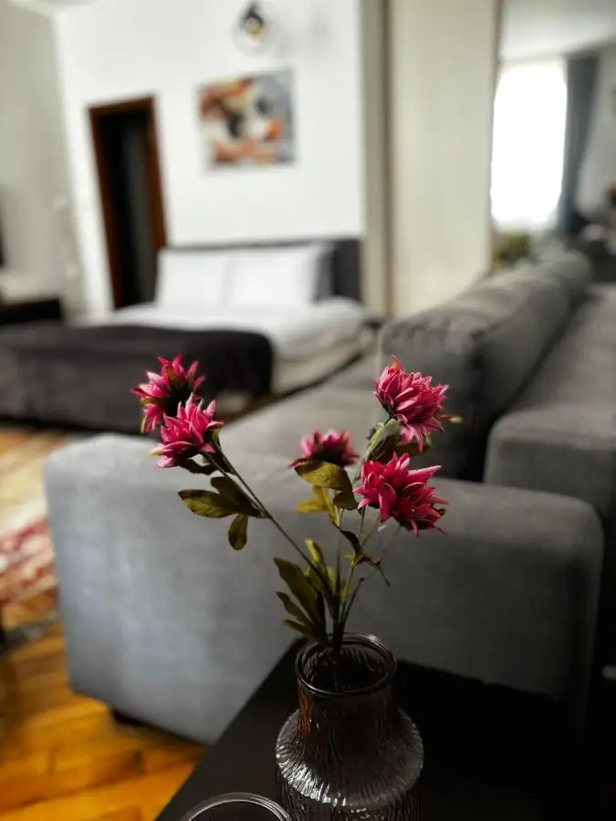 Apartman Mila Stari grad