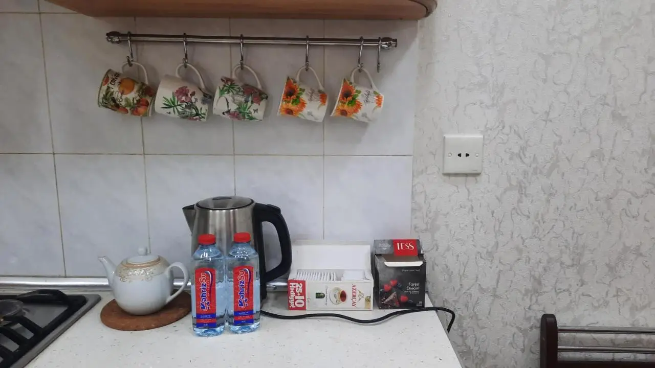 Spacious Apartment in Center, near Nizami st, Fountain Square and Sahil Metro Station