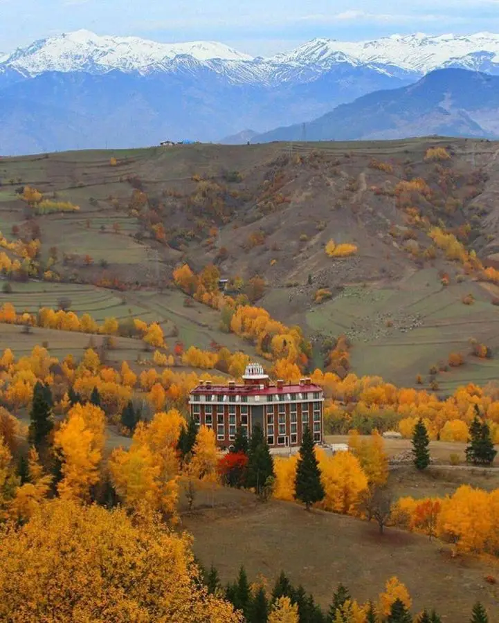 Black Forest Hotel