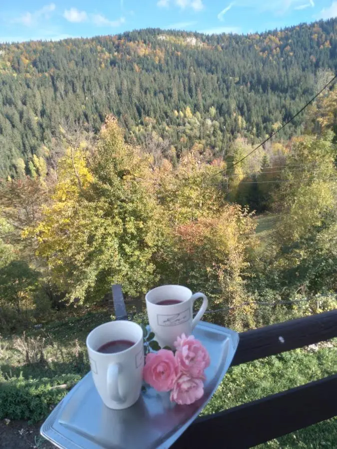 Planinska kuća ,,Furtula" Jahorina