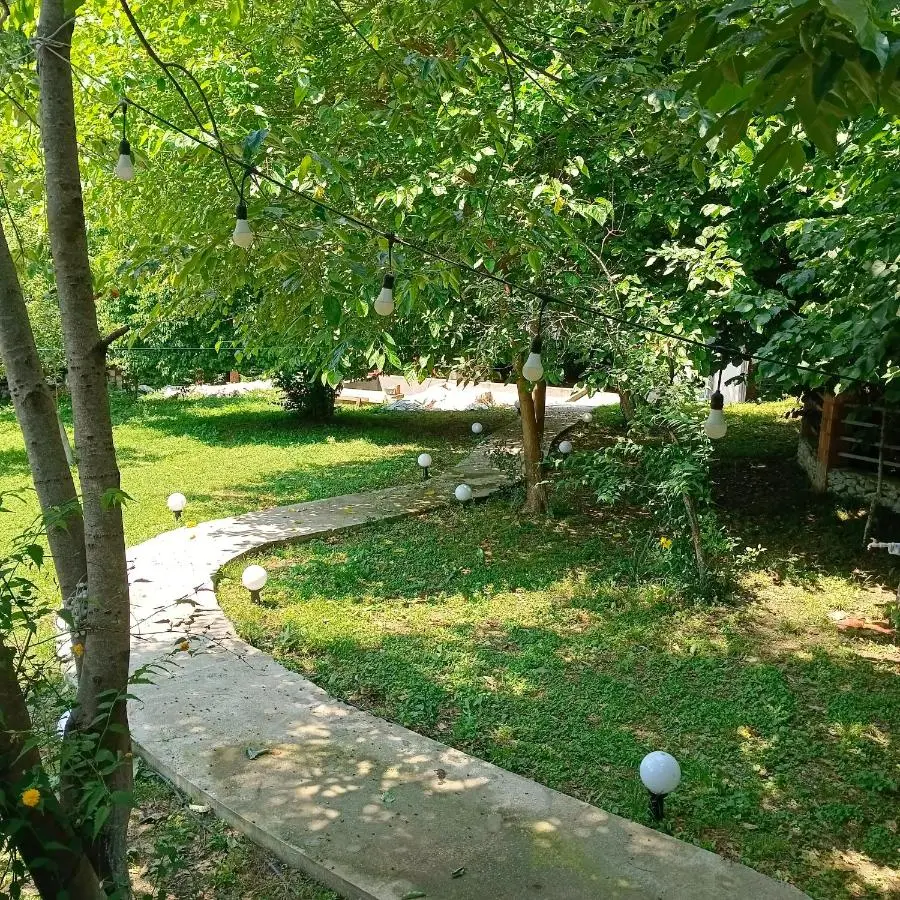 Woodland Paradise