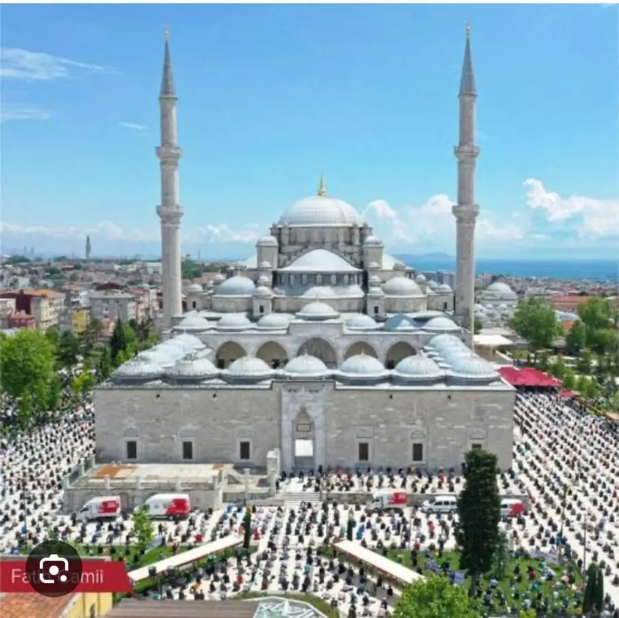 Mutlu flat