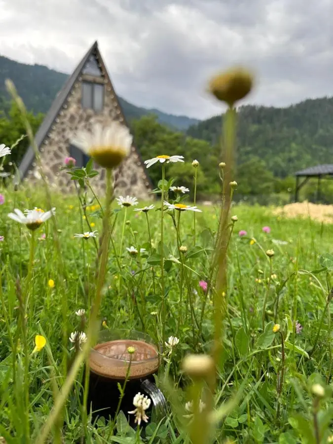 Hillside Borjomi Two chalet