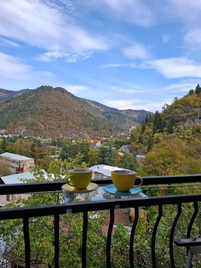 Borjomi Nest 1