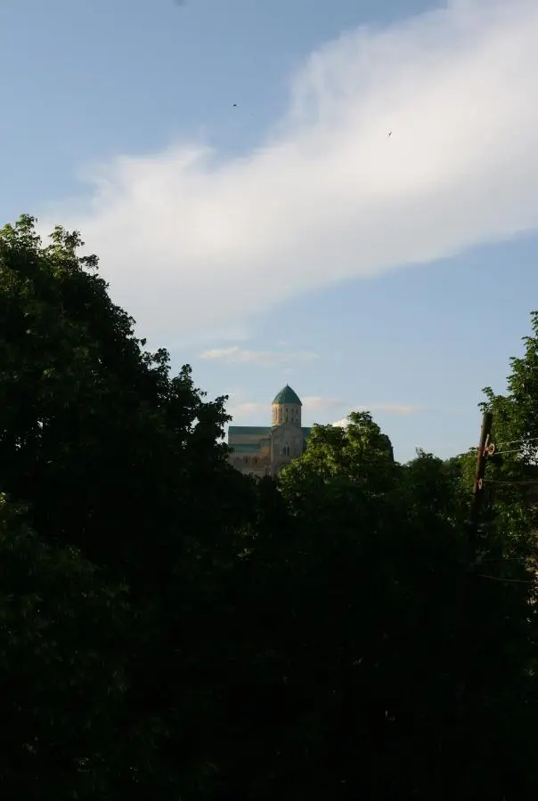 35 Paliashvili