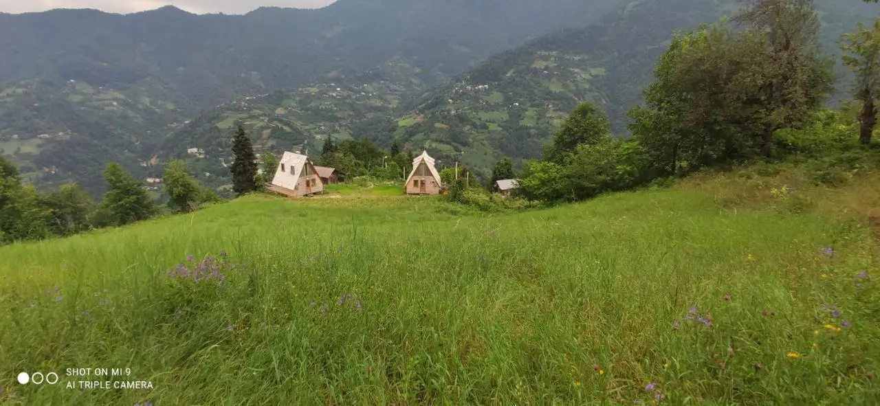 GREEN GUNDAURI