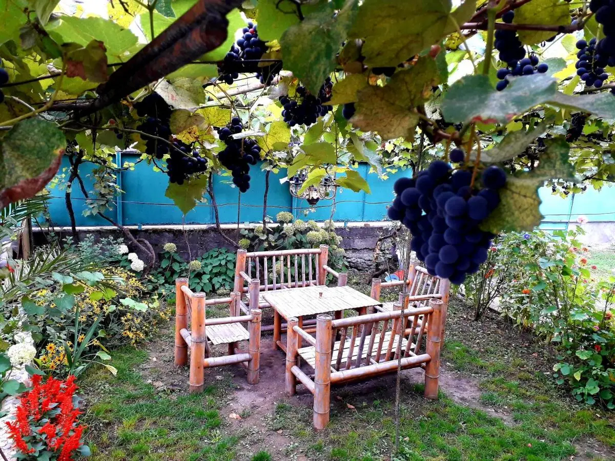 Guest House Metreveli