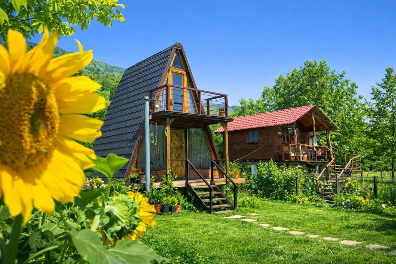Life on the farm