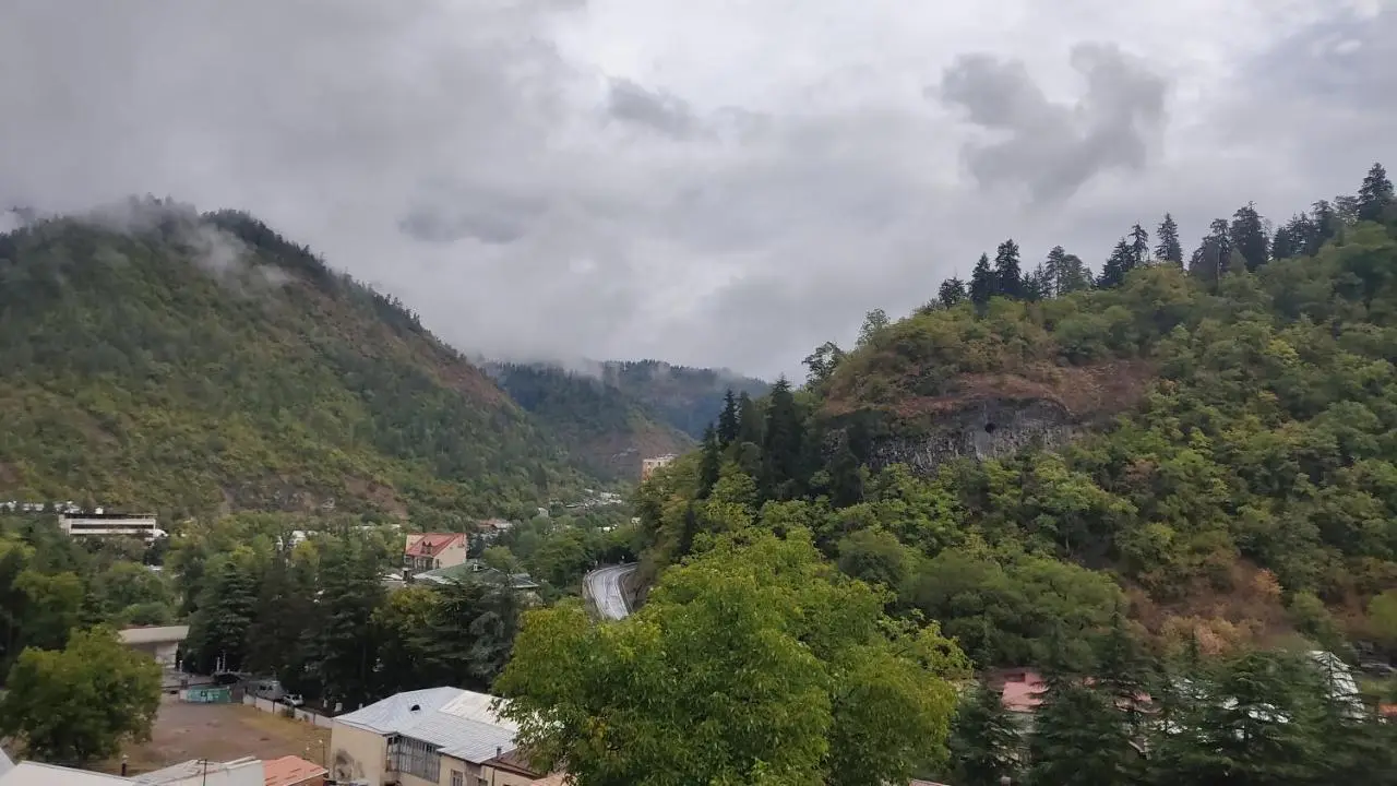 Borjomi Nest 1