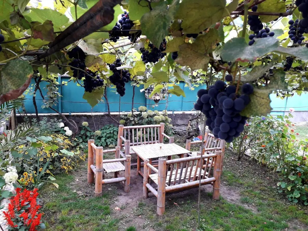 holiday home