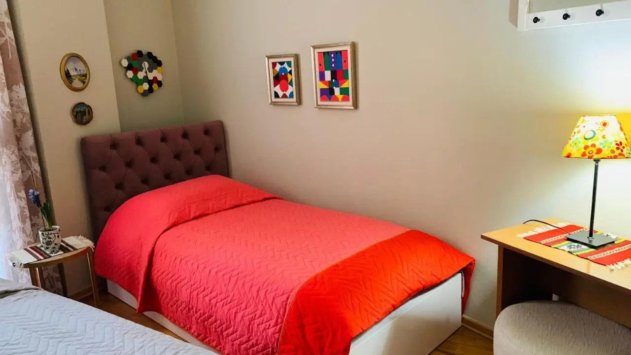 Central Comfy Apartment