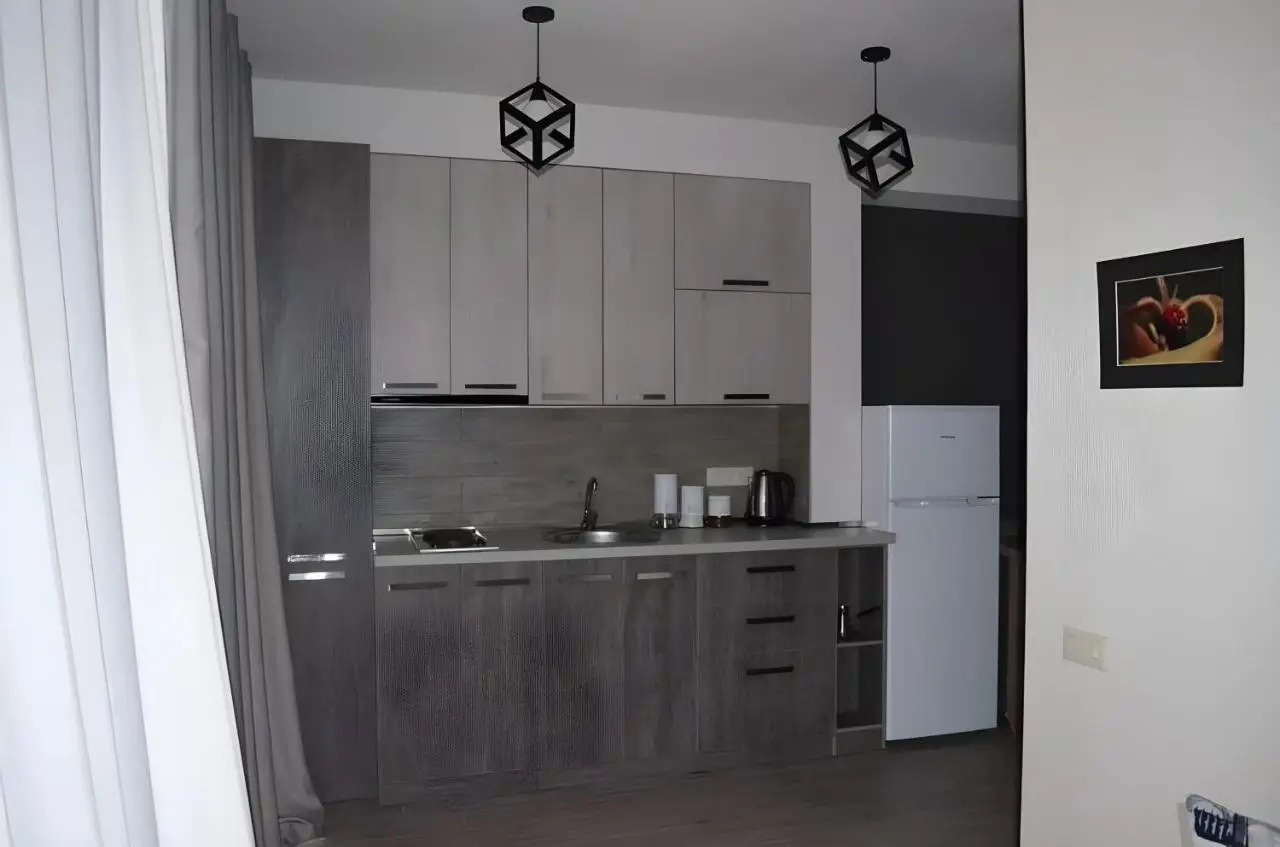 Area Park Bakuriani, Apartment 5