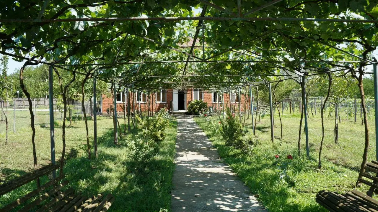 Villa Obcha - Whispering Vines Guesthouse
