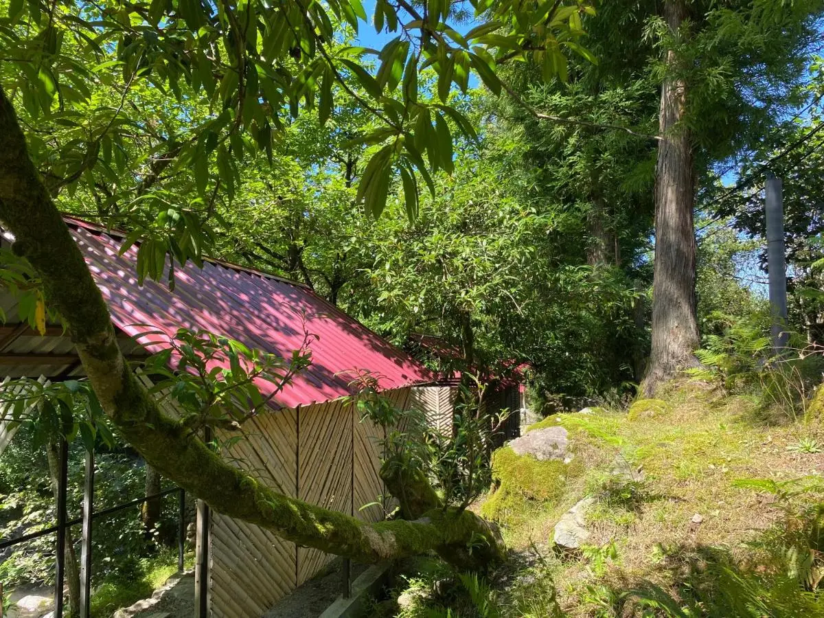 Venera's Guest House