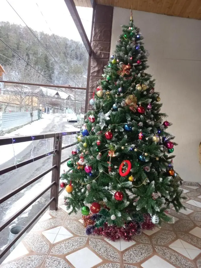 Guest House IVO