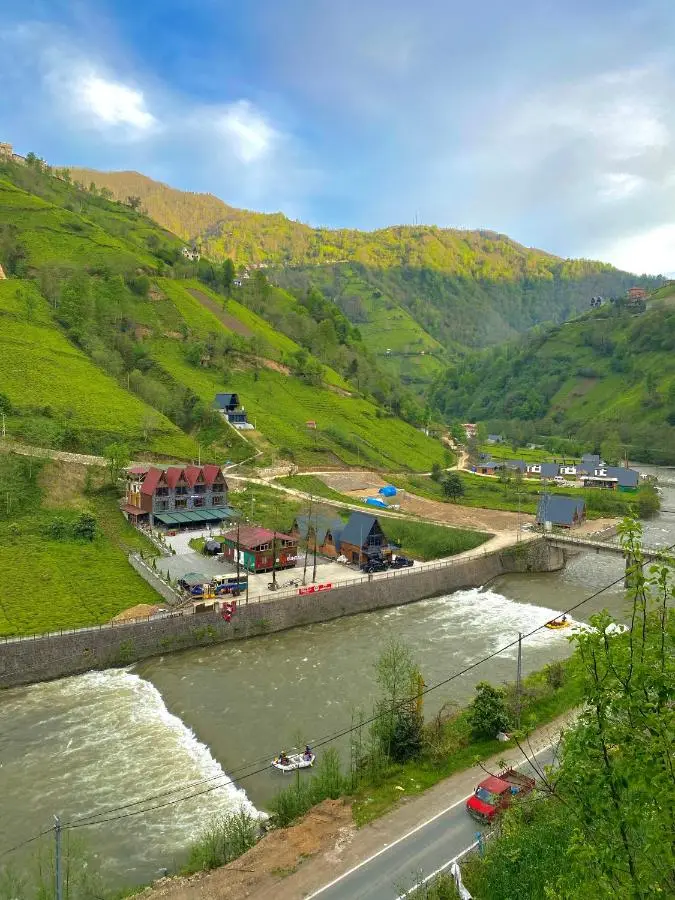 AyDeR CuNeLi BUnGaLoV